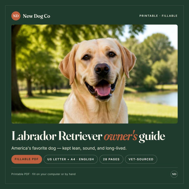 Ägarguide för Labrador Retriever | Handbok för valpvård, hälsa och träning från veterinärer (ifyllbar PDF) bild 1