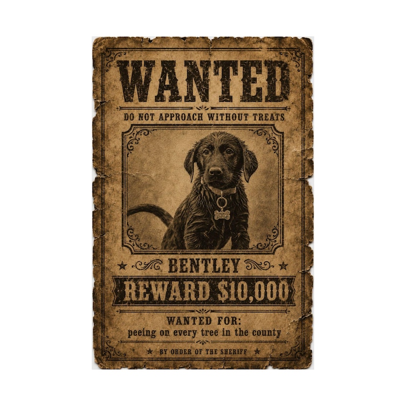 Custom Pet Wanted Poster, Western Outlaw Portrait, Funny Cowboy Dog Print, Wall Art image 10
