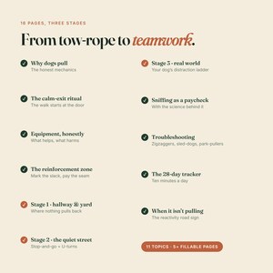 May include: A 16-page document titled From tow-rope to teamwork, outlining three stages of dog training. It lists 11 topics including Why dogs pull, The calm-exit ritual, Equipment, The reinforcement zone, Stage 1, 2, and 3, Sniffing, Troubleshooting, The 28-day tracker, and When it isn't pulling.