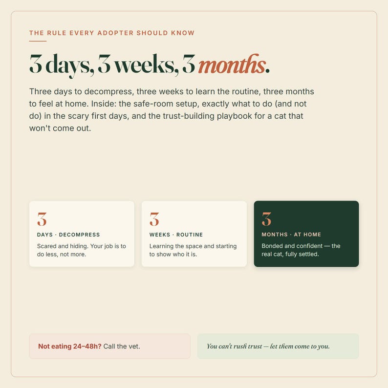 Peut inclure: Un graphique informatif intitul&eacute; The Rule Every Adopter Should Know: 3 days, 3 weeks, 3 months. Il d&eacute;crit les phases d'adaptation &agrave; l'adoption d'un chat, incluant l'installation d'une pi&egrave;ce s&eacute;curis&eacute;e et des conseils pour instaurer la confiance, avec trois encadr&eacute;s d&eacute;taillant la d&eacute;compression, la routine et l'installation.