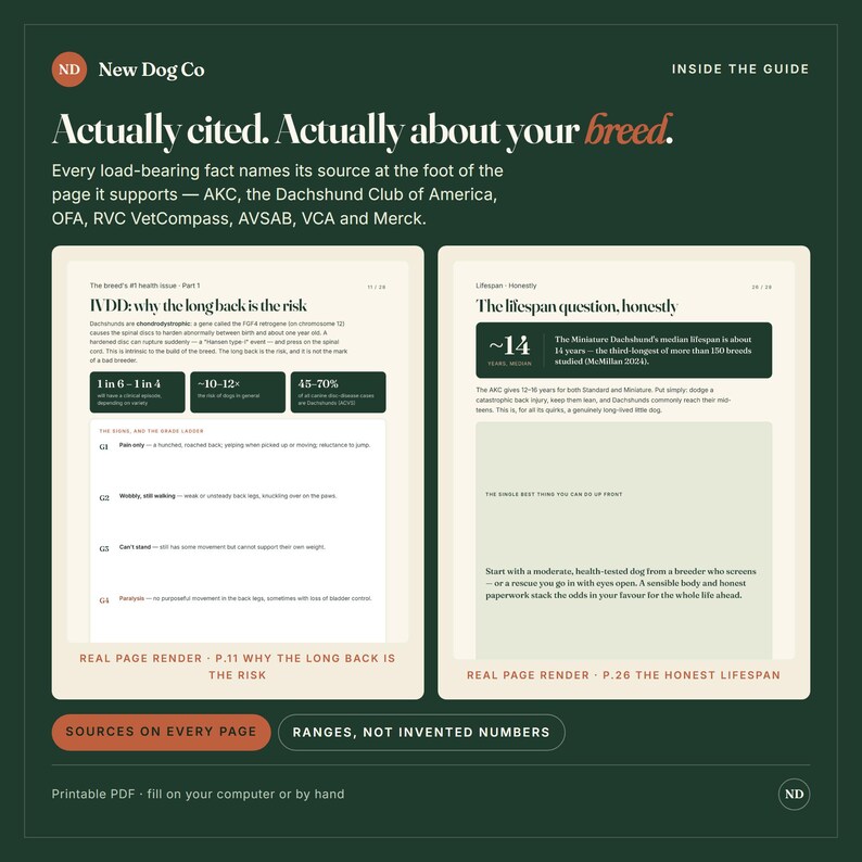 May include: A dark green informational graphic titled New Dog Co Inside the Guide. It displays two page previews: page 11 titled IVDD: why the long back is the risk, and page 26 titled The lifespan question, honestly, featuring text and data charts.