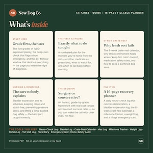 Op de afbeelding: Een donkergroene informatieve gids en een 16-pagina's tellende invulbare planner getiteld New Dog Co What's inside. Het bevat zes secties over IVDD-zorg, waaronder benchrust, verpleging en beslissingen over operaties en logboeken.