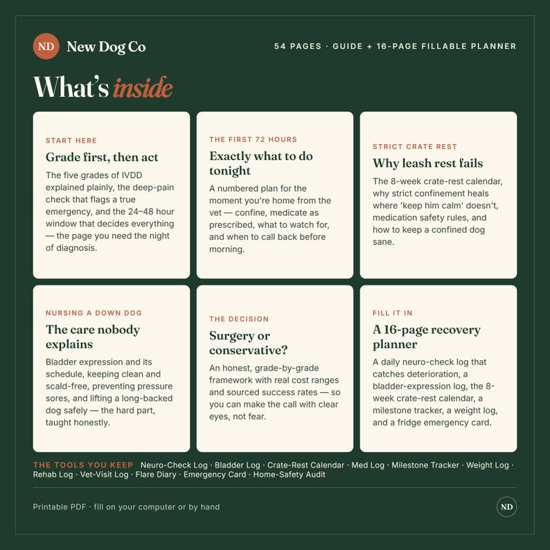Op de afbeelding: Een donkergroene informatieve gids en een 16-pagina's tellende invulbare planner getiteld New Dog Co What's inside. Het bevat zes secties over IVDD-zorg, waaronder benchrust, verpleging en beslissingen over operaties en logboeken.