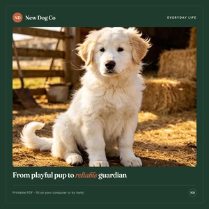 K&ouml;nnte beinhalten: Ein flauschiger wei&szlig;er Welpe mit hellbraunen Ohren sitzt auf Erde. Das Bild enth&auml;lt den Text New Dog Co, EVERYDAY LIFE, From playful pup to reliable guardian und Printable PDF - fill on your computer or by hand. Der Welpe hat eine schwarze Nase.
