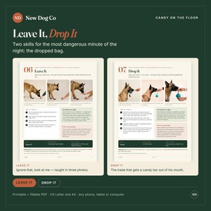 May include: A printable PDF guide titled New Dog Co Candy on the Floor featuring two training lessons, Leave It and Drop It, with instructional text and photographs of a dog learning to ignore or release items on a dark green background.