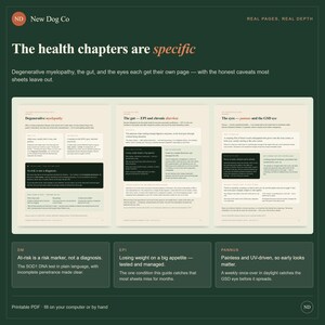 Pode incluir: Uma visualiza&ccedil;&atilde;o de documento digital com tr&ecirc;s p&aacute;ginas intituladas The health chapters are specific, cobrindo Degenerative myelopathy, The gut&mdash;EPI and chronic diarrhea e The eyes&mdash;pannus and the GSD eye, com caixas de texto resumindo DM, EPI e Pannus.