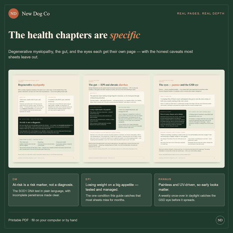 Pode incluir: Uma visualiza&ccedil;&atilde;o de documento digital com tr&ecirc;s p&aacute;ginas intituladas The health chapters are specific, cobrindo Degenerative myelopathy, The gut&mdash;EPI and chronic diarrhea e The eyes&mdash;pannus and the GSD eye, com caixas de texto resumindo DM, EPI e Pannus.