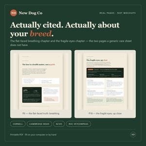 K&ouml;nnte beinhalten: Eine dunkelgr&uuml;ne Informationsgrafik mit dem Titel New Dog Co, die zwei Seitenvorschauen zeigt. Die linke Seite tr&auml;gt den Titel The face is a health matter, not a quirk. Die rechte Seite tr&auml;gt den Titel The fragile eyes, up close. Der Text enth&auml;lt Cornell, Cambridge Boas, ACVO und RVC Vetcompass.