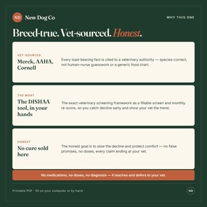 Pu&ograve; includere: Un grafico informativo verde scuro intitolato New Dog Co con l'intestazione Breed-true. Vet-sourced. Honest. Presenta tre sezioni rettangolari bianche che descrivono fatti di origine veterinaria, lo strumento DISHAA e una politica senza cure.