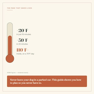以下が含まれることがあります： THE PAGE THAT SAVES LIVESと題された温度計のグラフィック付きインフォグラフィック。10分で+20&deg;F、20分で+30&deg;F、70&deg;Fの日に車内は110&deg;F以上になると記載。バナーには「Never leave your dog in a parked car.」と書かれています。