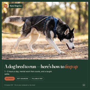 May include: A black and white husky dog wearing a blue harness and leash, with text reading: A dog bred to run&mdash;here's how to keep up. 1&ndash;2 hours a day, mental work that counts, and a taught settle. 28 PAGES, VET-SOURCED, FILLABLE PDF, Printable PDF.