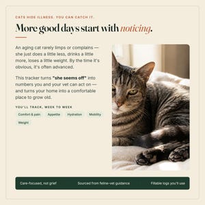Puede incluir: Un gr&aacute;fico informativo beige con un gato atigrado marr&oacute;n y texto que incluye: CATS HIDE ILLNESS. YOU CAN CATCH IT. More good days start with noticing. An aging cat rarely limps or complains. This tracker turns she seems off into numbers.