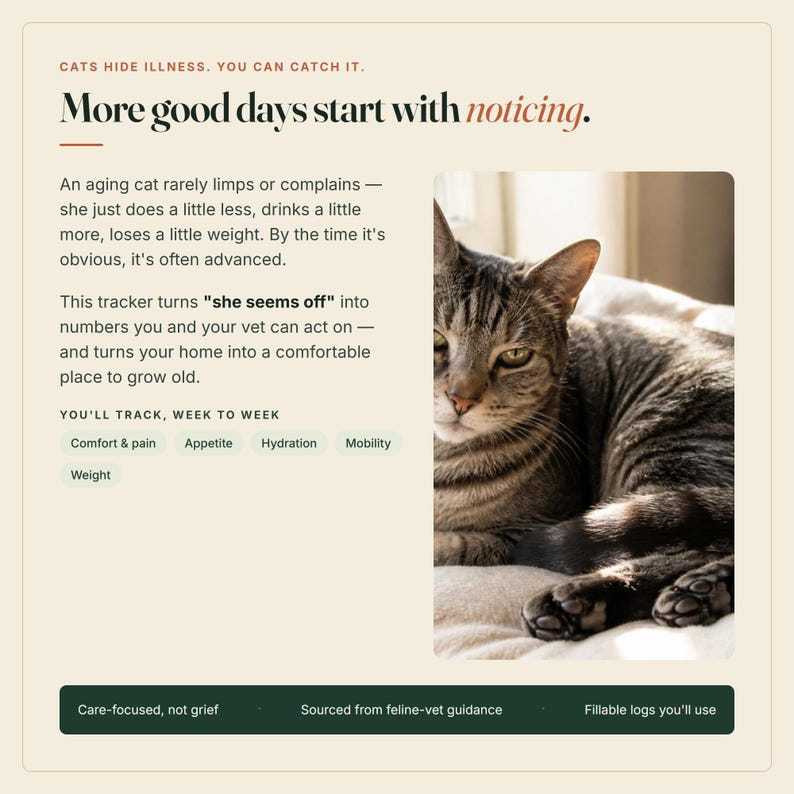 Puede incluir: Un gr&aacute;fico informativo beige con un gato atigrado marr&oacute;n y texto que incluye: CATS HIDE ILLNESS. YOU CAN CATCH IT. More good days start with noticing. An aging cat rarely limps or complains. This tracker turns she seems off into numbers.