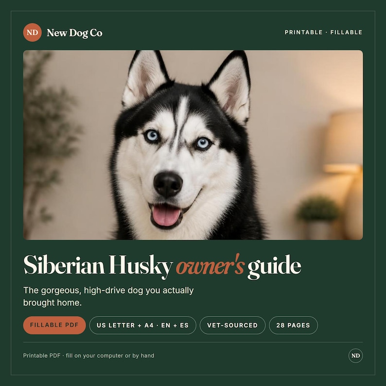 May include: A digital Siberian Husky owner's guide featuring a black and white dog with blue eyes. The document includes text: New Dog Co, Printable, Fillable, Siberian Husky owner's guide, The gorgeous, high-drive dog you actually brought home, Fillable PDF, US Letter + A4, EN + ES, Vet-Sourced, 28 Pages.