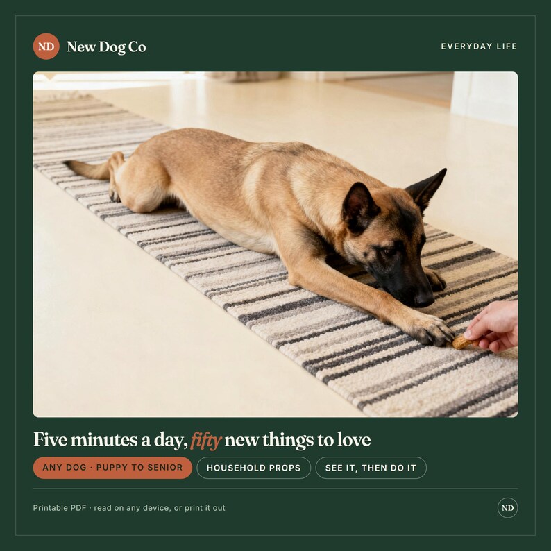 May include: A tan and black dog lying on a striped rug, reaching toward a small treat held by a hand. The image includes the text: New Dog Co, EVERYDAY LIFE, Five minutes a day, fifty new things to love, ANY DOG, PUPPY TO SENIOR, HOUSEHOLD PROPS, SEE IT, THEN DO IT.