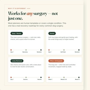 Dog Surgery Recovery Tracker | Vet-Sourced Post-Op Care Log (Fillable PDF) image 2