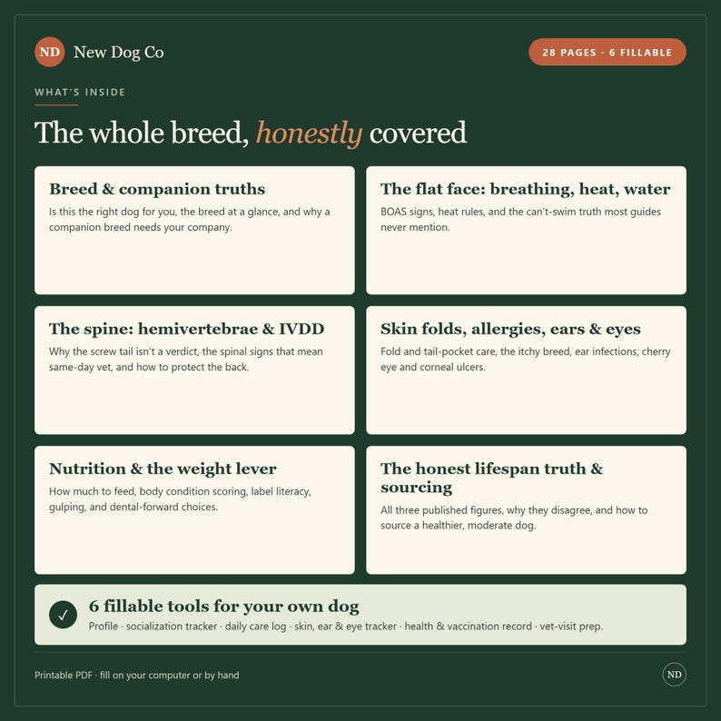 K&ouml;nnte beinhalten: Ein dunkelgr&uuml;nes Informationsdokument mit dem Titel New Dog Co, The whole breed, honestly covered. Es umfasst 28 Seiten, 6 davon ausf&uuml;llbar, und behandelt Themen wie Rassewahrheiten, Atmung, Wirbels&auml;ulengesundheit, Hautfalten, Ern&auml;hrung und Lebensdauer.
