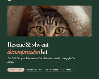 Kit de descompresión para gatos tímidos / Guía de la regla 3-3-3, de origen veterinario (descarga en PDF)