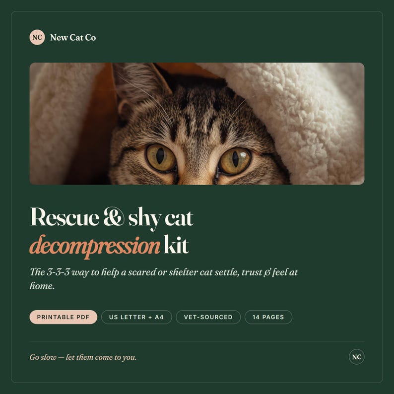Kit de décompression pour chat timide de Rescue Shy Cat | Guide de la règle 3-3-3, fourni par un vétérinaire (téléchargement PDF) image 1