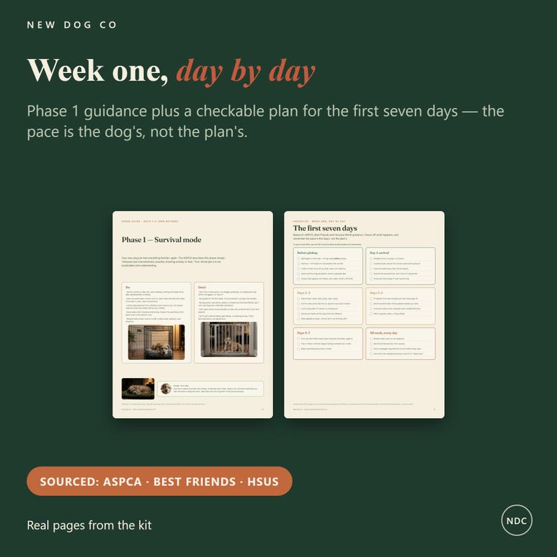 Op de afbeelding: Twee pagina's uit een New Dog Co gids getiteld Week one, day by day. De linkerpagina behandelt Phase 1 Survival mode met tekst en kleine foto's van een hond in een bench. De rechterpagina bevat een checklist getiteld The first seven days.