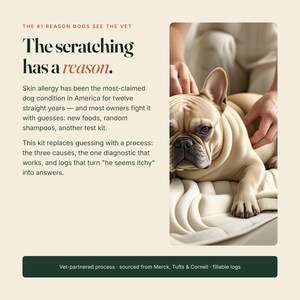 Puede incluir: Un bulldog franc&eacute;s de color claro descansa sobre una superficie crema texturizada. El texto dice: The #1 reason dogs see the vet. The scratching has a reason. Skin allergy has been the most-claimed dog condition in America.