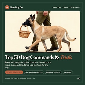 Peut inclure: Un guide numérique intitulé Top 50 Dog Commands & Tricks par New Dog Co. La couverture montre un Berger Belge Malinois fauve portant un petit panier en osier dans sa gueule. Le document contient 150 photos, un suivi remplissable et 59 pages.