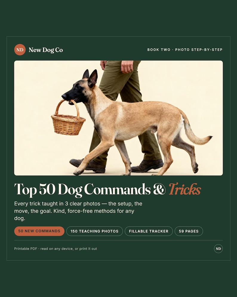 May include: A digital guide titled Top 50 Dog Commands & Tricks by New Dog Co. The cover features a tan Belgian Malinois carrying a small wicker basket in its mouth. The document includes 150 teaching photos, a fillable tracker, and 59 pages.