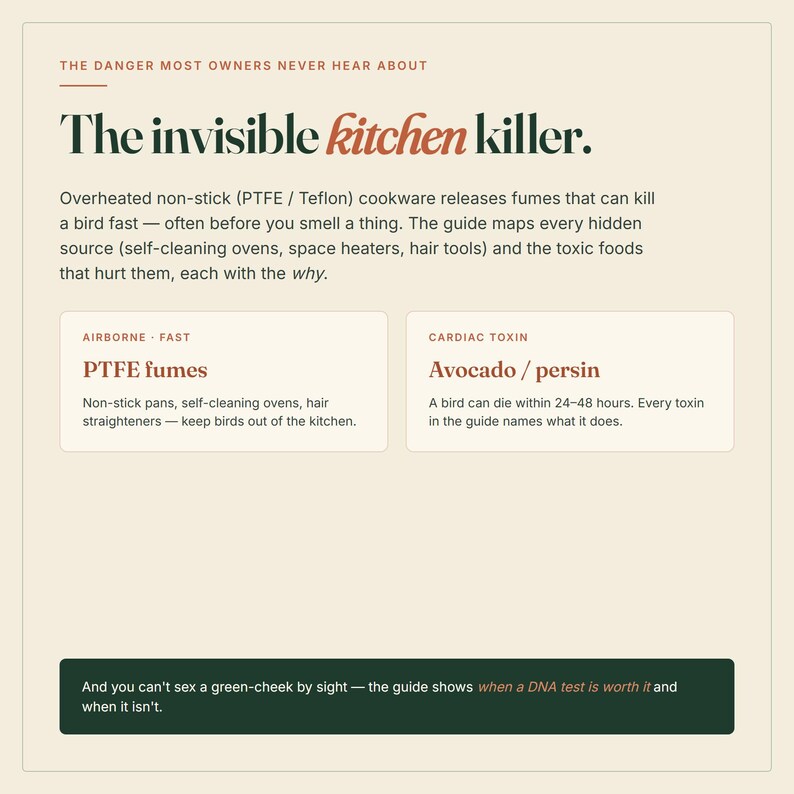 May include: An informational graphic titled The invisible kitchen killer. It details dangers to birds from PTFE fumes and avocado persin, listing sources like non-stick pans and self-cleaning ovens, plus notes on DNA testing for green-cheek birds.