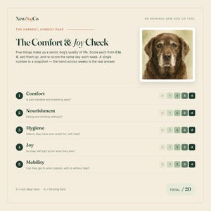 May include: A beige document titled The Comfort & Joy Check by NewDogCo featuring a portrait of a brown senior dog. The page includes five scoring categories: Comfort, Nourishment, Hygiene, Joy, and Mobility, each with a scale from 0 to 4.