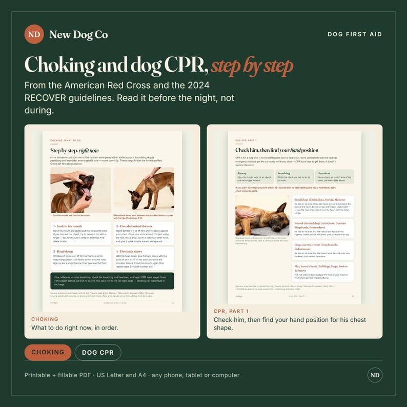 May include: A digital guide titled New Dog Co Dog First Aid featuring Choking and dog CPR step by step instructions. It includes two pages with diagrams and text based on American Red Cross and 2024 RECOVER guidelines for pet safety.