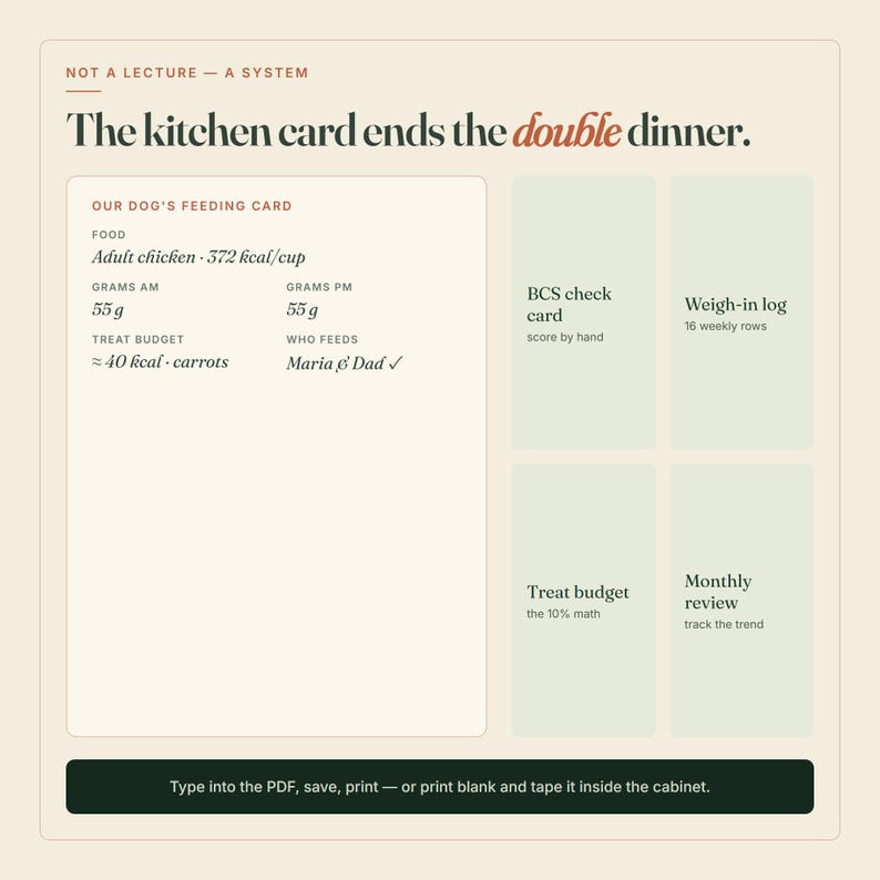 Puede incluir: Una tarjeta informativa beige titulada The kitchen card ends the double dinner. Incluye un horario de alimentaci&oacute;n para perros, con tipo de comida, gramos diarios, presupuesto de premios y registro de alimentaci&oacute;n. Tambi&eacute;n tiene secciones para control de peso y revisi&oacute;n mensual.