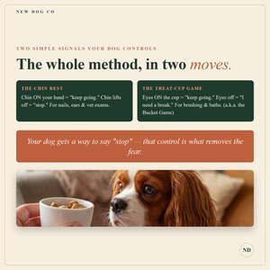 May include: An educational graphic titled The whole method, in two moves by New Dog Co. It explains The Chin Rest and The Treat-Cup Game for dog training. Below the text, a brown and white Cavalier King Charles Spaniel looks at a white cup.