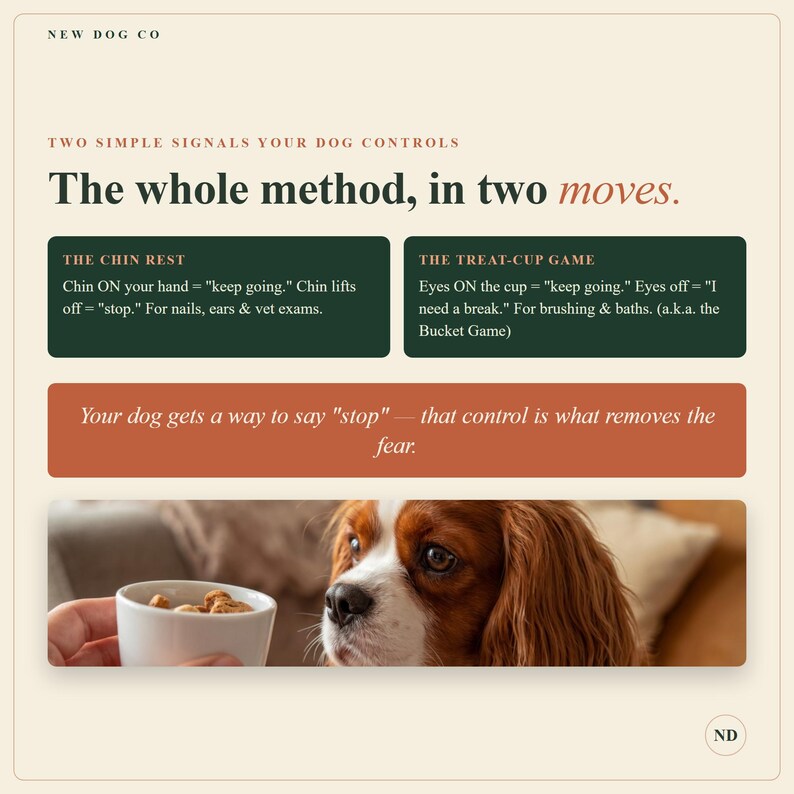 May include: An educational graphic titled The whole method, in two moves by New Dog Co. It explains The Chin Rest and The Treat-Cup Game for dog training. Below the text, a brown and white Cavalier King Charles Spaniel looks at a white cup.