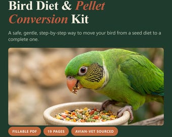 Bird Diet Pellet Conversion Kit | Parrot Budgie Cockatiel Seed to Pellet Guide (Digital Download)