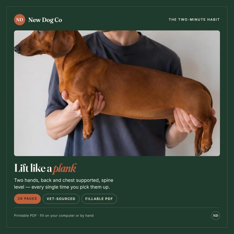 May include: A digital guide titled New Dog Co The Two-Minute Habit featuring a brown dachshund. The text reads Lift like a plank, Two hands, back and chest supported, spine level, 28 pages, vet-sourced, fillable PDF, printable PDF, fill on your computer or by hand.