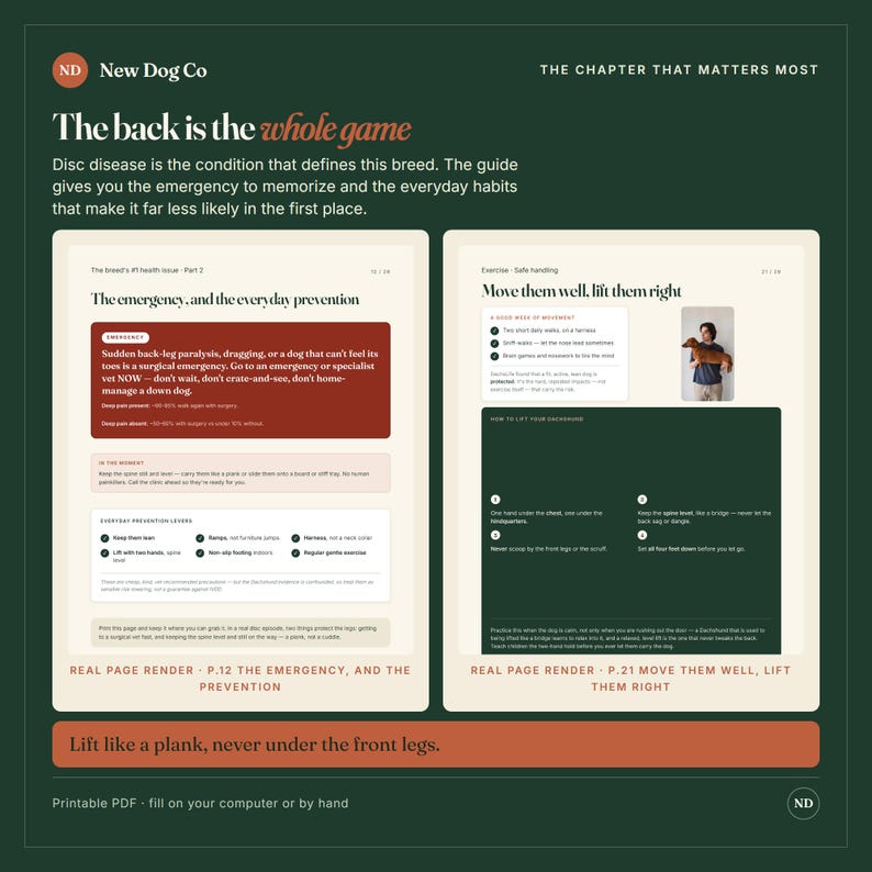 May include: A digital guide titled The Chapter That Matters Most by New Dog Co, featuring two pages on disc disease prevention. The pages include text, bullet points, and a photo of a person holding a dachshund, with instructions on safe handling.