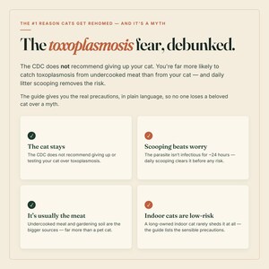 May include: An educational infographic titled The toxoplasmosis fear, debunked. It explains that the CDC does not recommend rehoming cats due to toxoplasmosis, noting that undercooked meat is a higher risk and daily litter scooping prevents it.