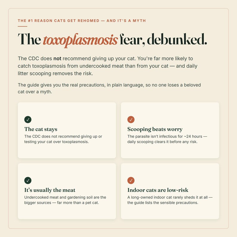 May include: An educational infographic titled The toxoplasmosis fear, debunked. It explains that the CDC does not recommend rehoming cats due to toxoplasmosis, noting that undercooked meat is a higher risk and daily litter scooping prevents it.