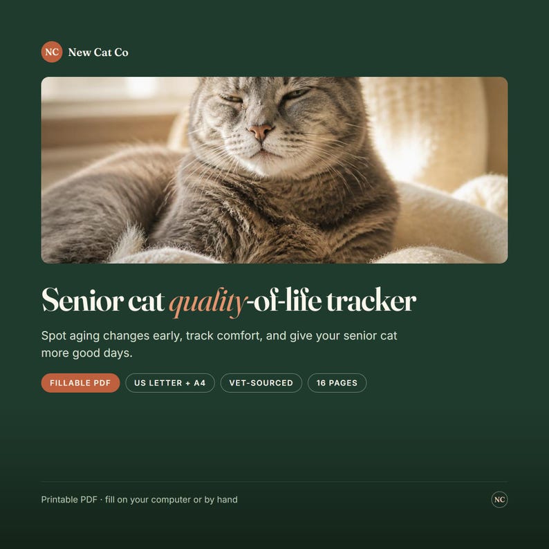 Puede incluir: Un documento digital de seguimiento de la calidad de vida para gatos mayores sobre un fondo verde oscuro. Incluye una fotograf&iacute;a de un gato atigrado gris, el texto New Cat Co y detalles como PDF rellenable, US Letter, A4, 16 p&aacute;ginas.