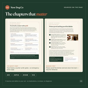 May include: Two pages from a New Dog Co guide titled The chapters that matter. The left page lists toxic foods for dogs, while the right page provides instructions on how to poison-proof and dog-proof the kitchen, including a photo of a dog.