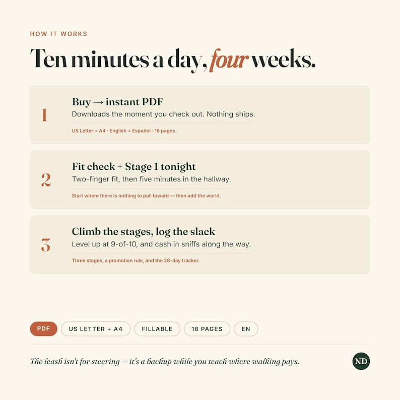 May include: An instructional graphic titled How it works: Ten minutes a day, four weeks. It outlines a three-step process for a digital PDF guide. Details include Buy, Fit check, Stage 1, Climb the stages, and log the slack. Includes PDF, US Letter, A4, Fillable, 16 pages, and EN labels.