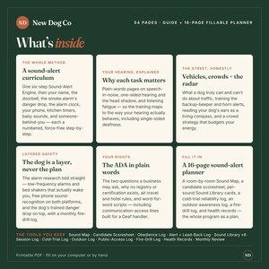 Pode incluir: Um gr&aacute;fico informativo verde-escuro intitulado New Dog Co What's inside, apresentando um guia de 54 p&aacute;ginas e um planejador preench&iacute;vel de 16 p&aacute;ginas. Cont&eacute;m seis caixas brancas detalhando o curr&iacute;culo de alertas sonoros e seguran&ccedil;a.