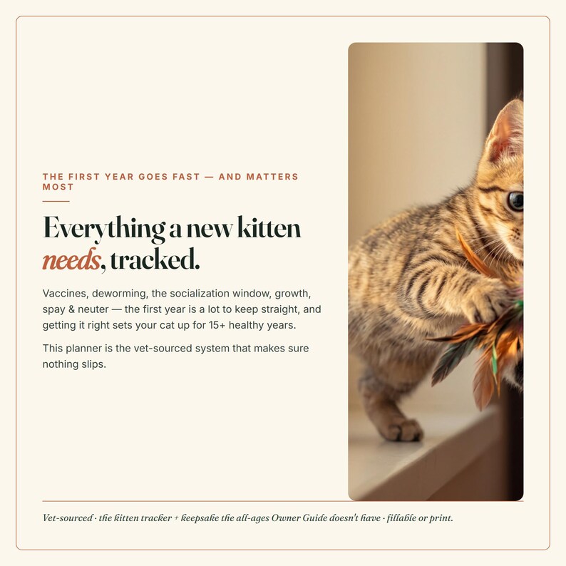 Planificador para gatitos nuevos y registro del primer año / Registro de cuidados para gatitos (Descarga digital) imagen 2