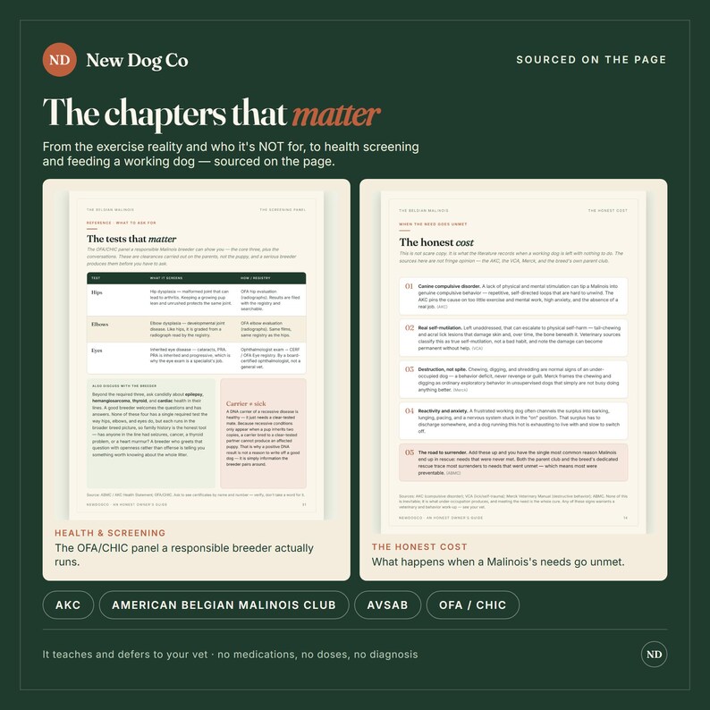 Op de afbeelding: Een informatieve afbeelding getiteld The chapters that matter van New Dog Co. Het toont twee witte pagina's met donkergroene tekst over gezondheidsscreenings en de eerlijke kosten van het bezitten van een werkhond, inclusief tabellen en lijsten.