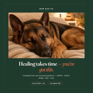 May include: A German Shepherd dog with black and tan fur rests on a beige blanket. The text reads: NEW DOG CO, Healing takes time&mdash;you've got this. Compiled from vet-sourced guidance&mdash;ASPCA, AAHA, AVMA, AKC, VCA. US LETTER + A4, FILLABLE PDF.