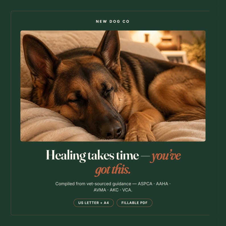 May include: A German Shepherd dog with black and tan fur rests on a beige blanket. The text reads: NEW DOG CO, Healing takes time&mdash;you've got this. Compiled from vet-sourced guidance&mdash;ASPCA, AAHA, AVMA, AKC, VCA. US LETTER + A4, FILLABLE PDF.