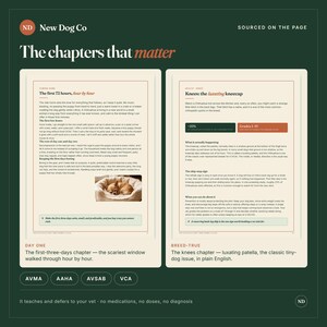 K&ouml;nnte beinhalten: Eine dunkelgr&uuml;ne Infografik mit dem Titel The chapters that matter von New Dog Co. Sie zeigt zwei Textseiten &uuml;ber Welpenpflege und Hundegesundheit, inklusive eines Fotos eines kleinen Hundes in einem Bett, mit den K&uuml;rzeln AVMA, AAHA, AVSAB und VCA.