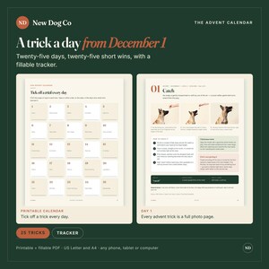 May include: A digital advent calendar for dogs titled A trick a day from December 1 by New Dog Co. The set includes a printable tracker with twenty-five numbered boxes and a detailed instruction page for day one, featuring a dog learning to catch.