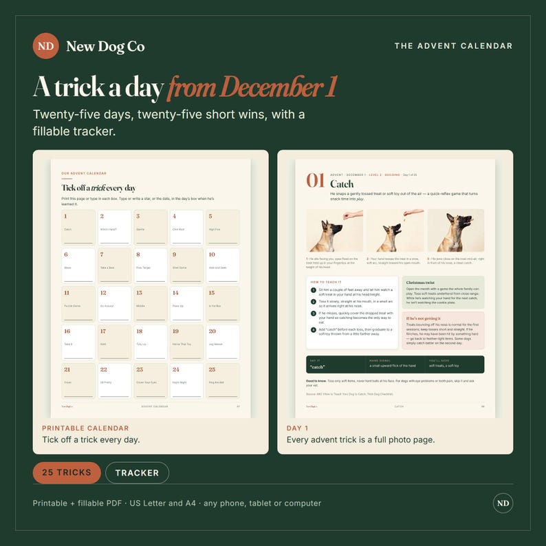 May include: A digital advent calendar for dogs titled A trick a day from December 1 by New Dog Co. The set includes a printable tracker with twenty-five numbered boxes and a detailed instruction page for day one, featuring a dog learning to catch.