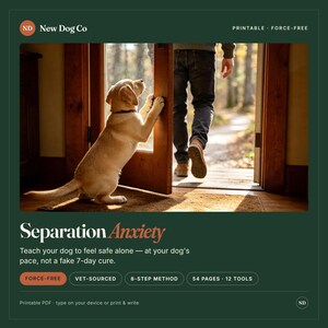 Separation Anxiety Training Guide | 8-Step Force-Free Method (PDF) image 1